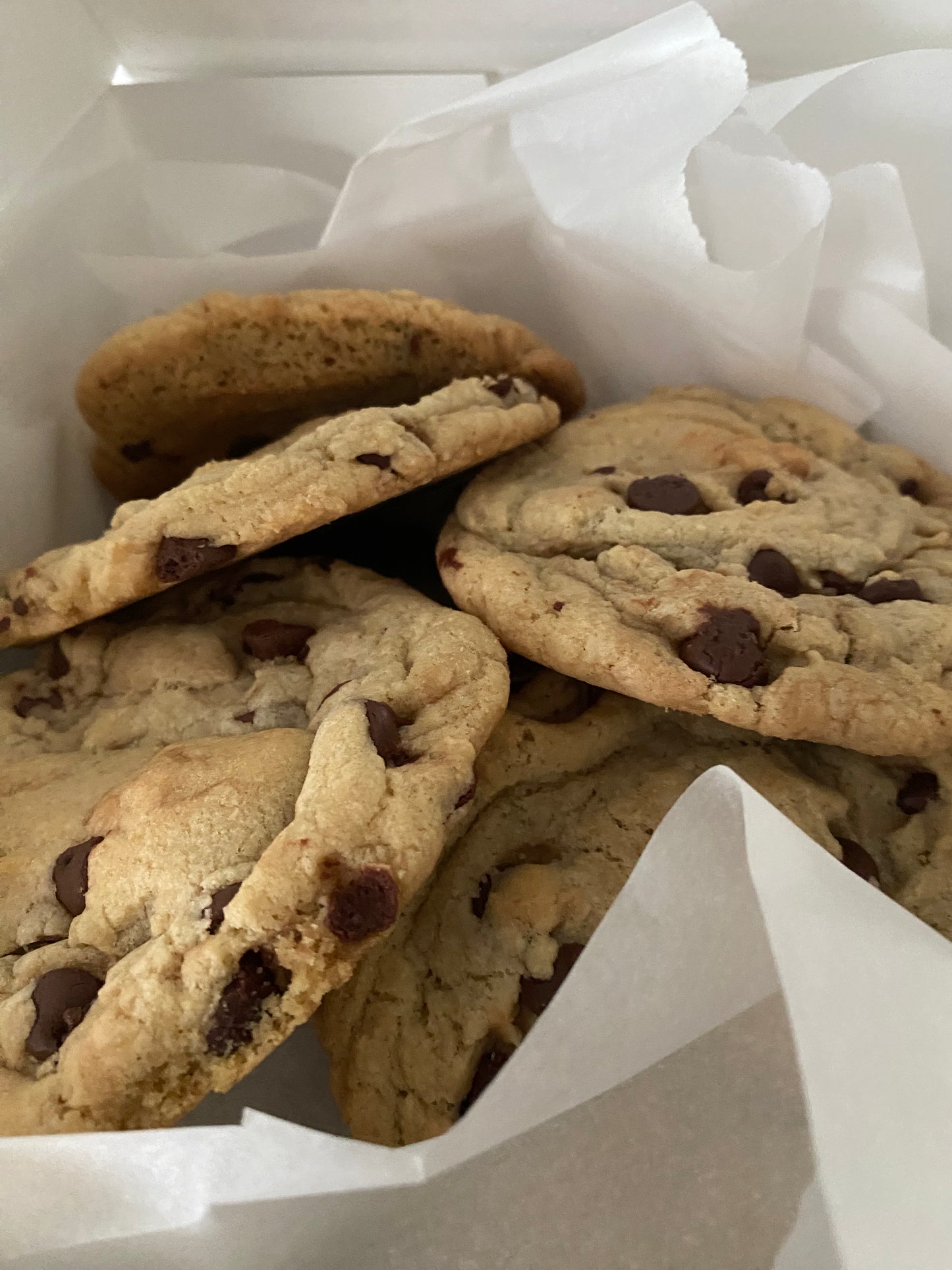 Chocolate Chip